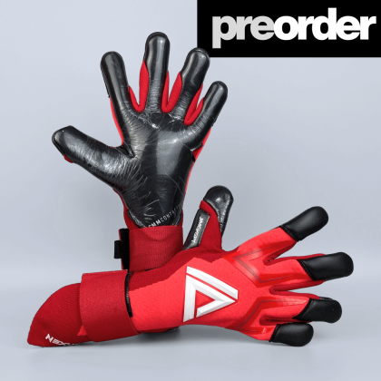 [PRE-ORDER] NEXUS PRO 2.4 (RD)